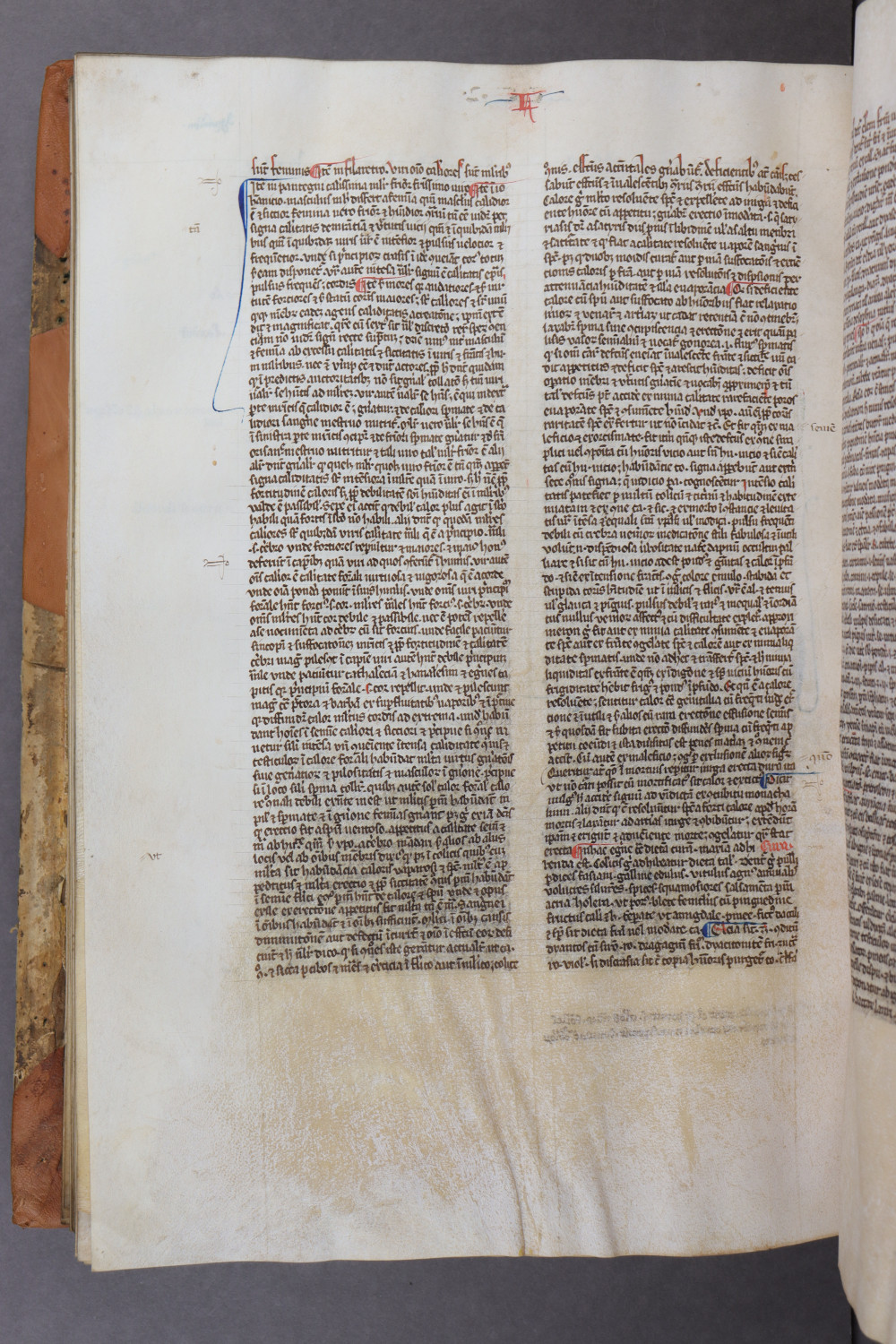 Folio 131 verso